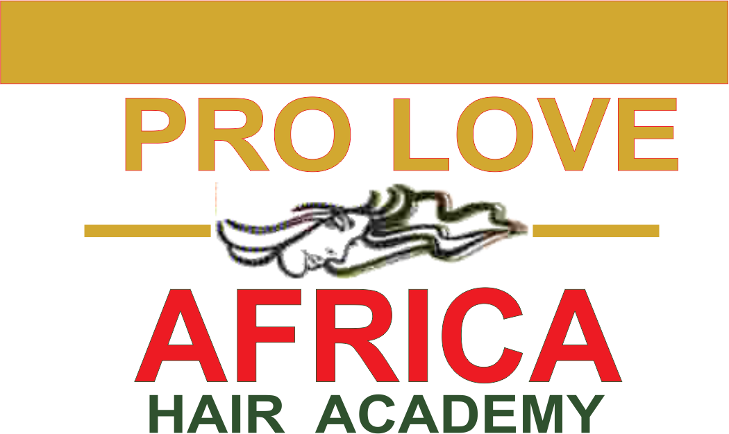Pro Love Africa Logo